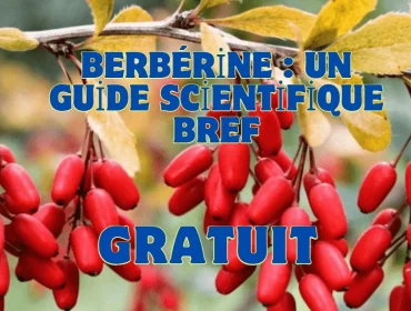 Berbérine