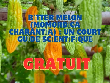 Bitter Melon